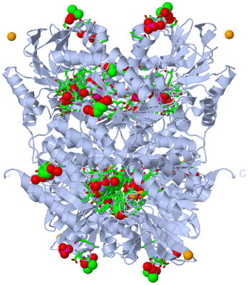 Image Biol. Unit 1 - sites