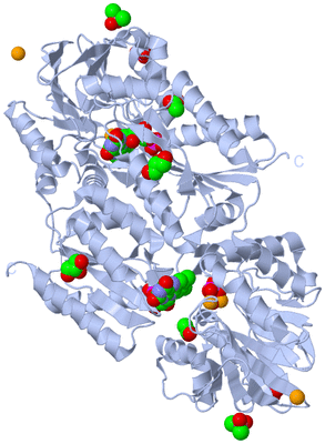 Image Biological Unit 2