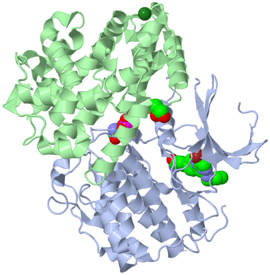 Image Biological Unit 1