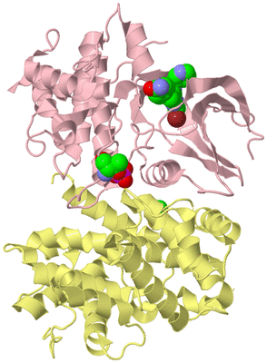 Image Biological Unit 2