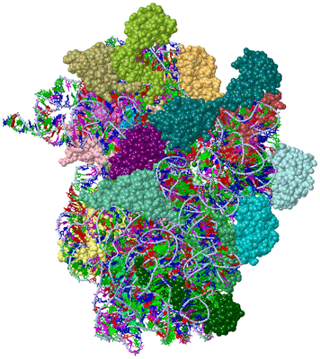 Image Asym./Biol. Unit