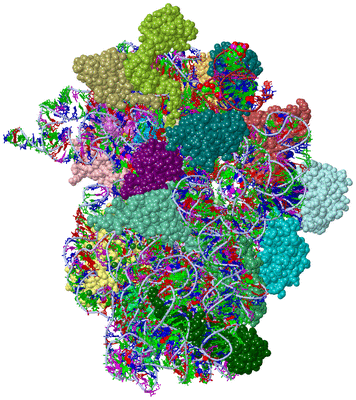 Image Asym./Biol. Unit - sites