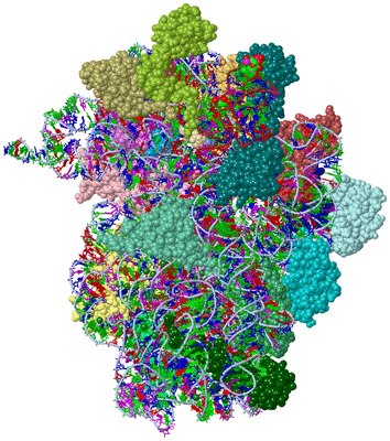 Image Asym./Biol. Unit