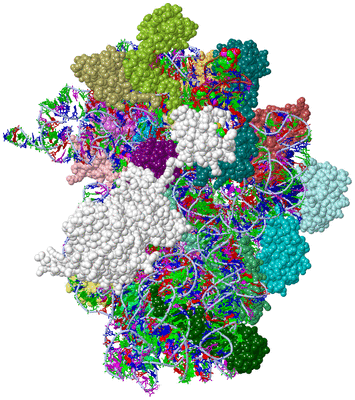 Image Asym./Biol. Unit