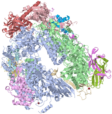 Image Asym./Biol. Unit