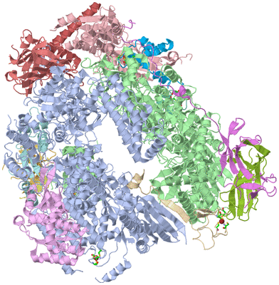 Image Asym./Biol. Unit - sites