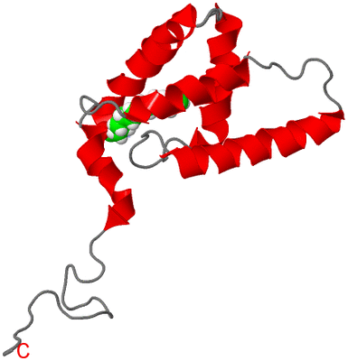 Image NMR Structure - model 1