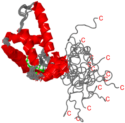 Image NMR Structure - all models