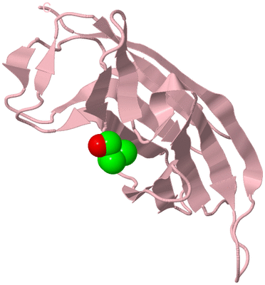 Image Biological Unit 3