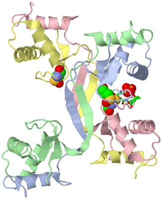 Image Asym./Biol. Unit - sites