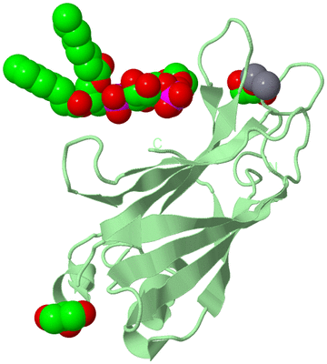 Image Biological Unit 2