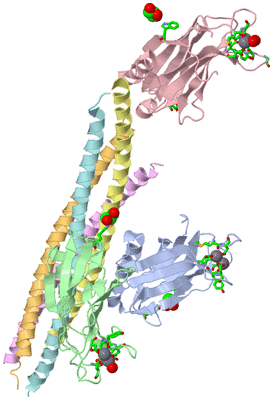 Image Biol. Unit 1 - sites