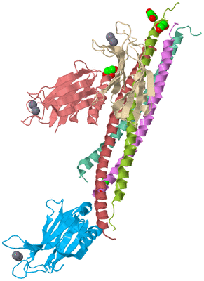 Image Biological Unit 2