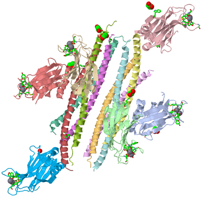 Image Asym. Unit - sites