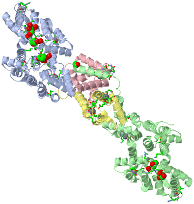 Image Asym./Biol. Unit - sites