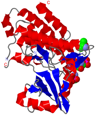 Image Asym./Biol. Unit