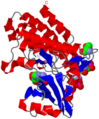 Image Asym./Biol. Unit