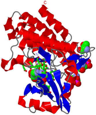 Image Asym./Biol. Unit - sites