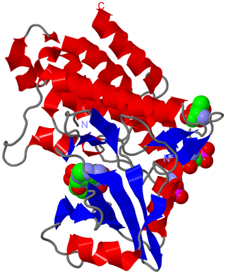 Image Asym./Biol. Unit