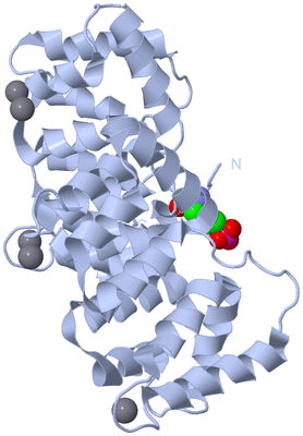 Image Biological Unit 1