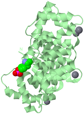 Image Biological Unit 2