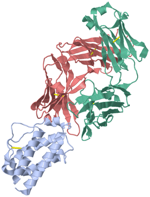 Image Asym./Biol. Unit