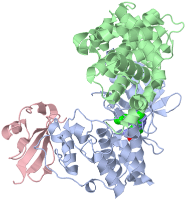 Image Biological Unit 1