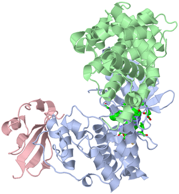 Image Biol. Unit 1 - sites