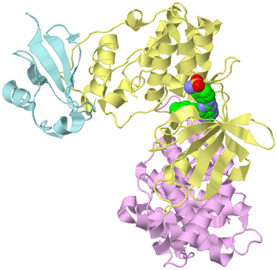 Image Biological Unit 2