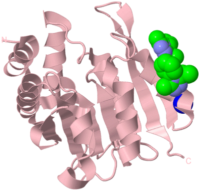 Image Biological Unit 4