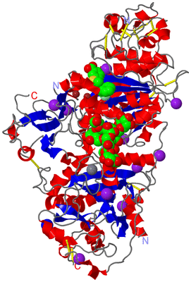 Image Asym./Biol. Unit