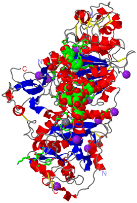 Image Asym./Biol. Unit - sites