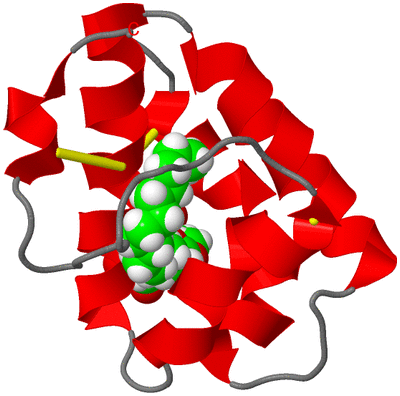 Image NMR Structure - model 1