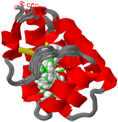 Image NMR Structure - all models