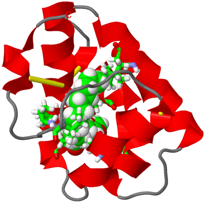 Image NMR Structure - model 1, sites