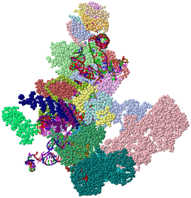 Image Asym./Biol. Unit