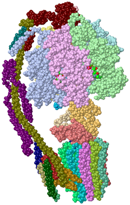 Image Asym./Biol. Unit - sites