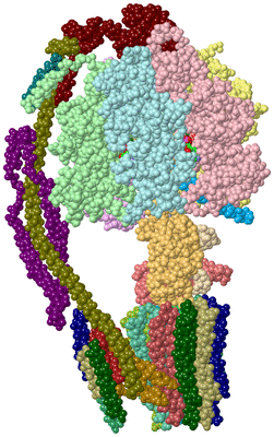 Image Asym./Biol. Unit