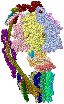 Image Asym./Biol. Unit - sites