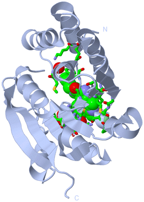 Image Biol. Unit 1 - sites