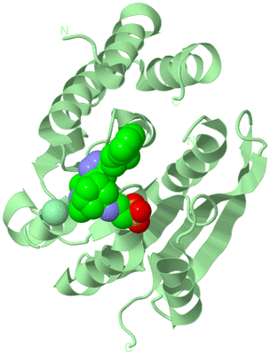 Image Biological Unit 2