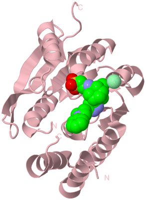 Image Biological Unit 3