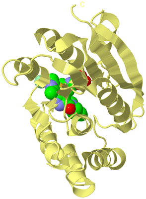 Image Biological Unit 4