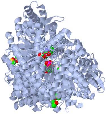 Image Biological Unit 1