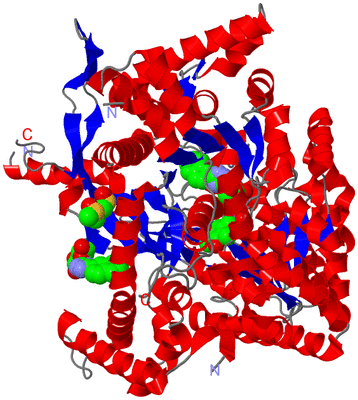 Image Asym./Biol. Unit