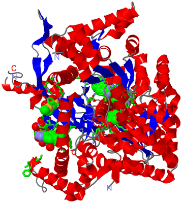 Image Asym./Biol. Unit - sites