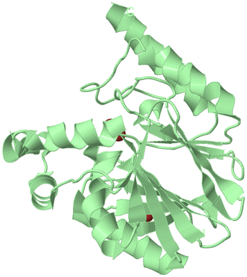 Image Biological Unit 1