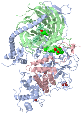 Image Biological Unit 1