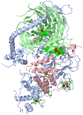 Image Biol. Unit 1 - sites