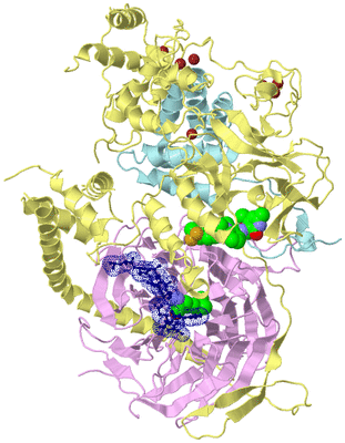 Image Biological Unit 2